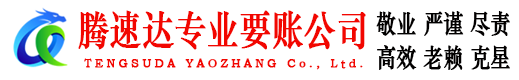 诏安清债公司